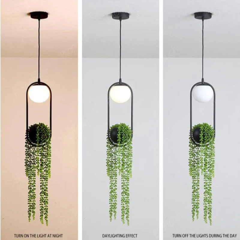 Ambient Black Pendant Light 6