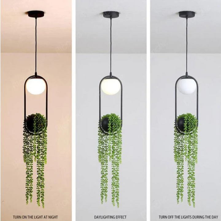 Ambient Black Pendant Light 6