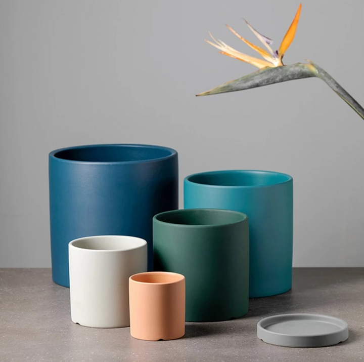Artisan Ceramic Planter Set 6
