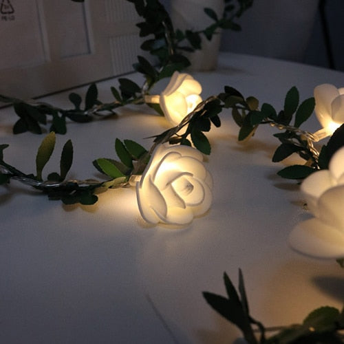Elegant Rose Fairy Lights 0