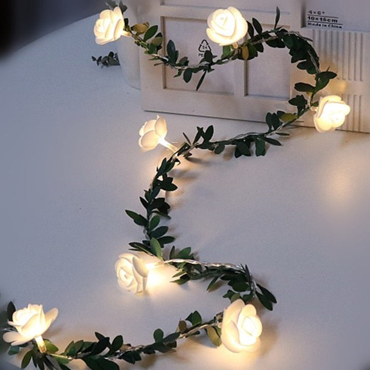 Elegant Rose Fairy Lights 1