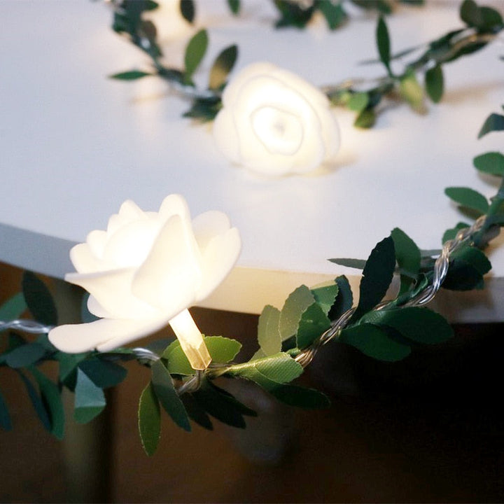 Elegant Rose Fairy Lights 4