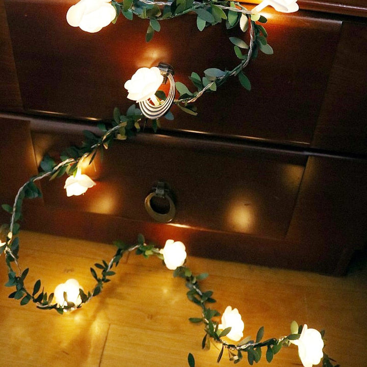 Elegant Rose Fairy Lights 5