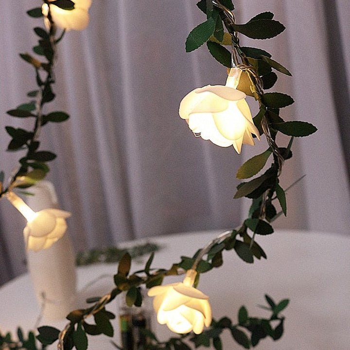 Elegant Rose Fairy Lights 6