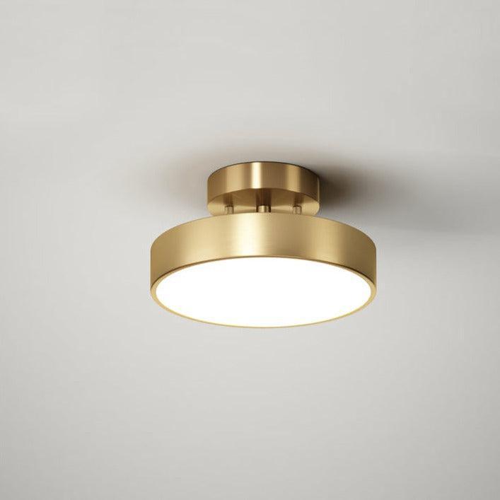 Elegant Rotating LED Ceiling Light 1
