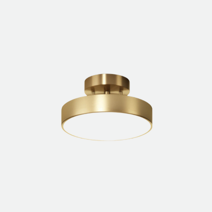 Elegant Rotating LED Ceiling Light 5