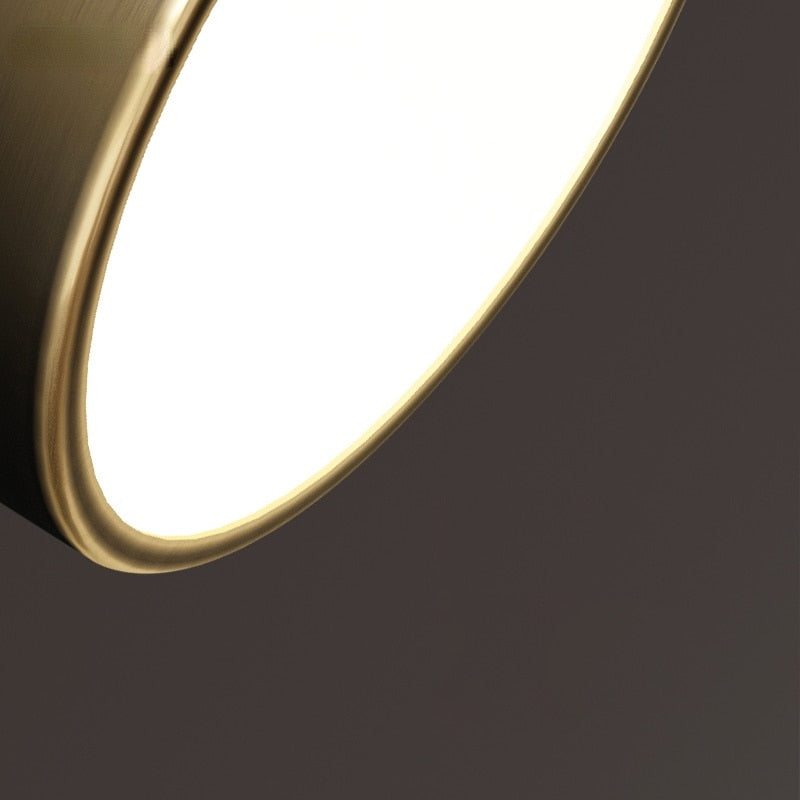 Elegant Rotating LED Ceiling Light 8