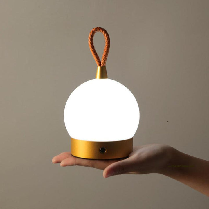 Elegant Waterproof LED Outdoor Light 1