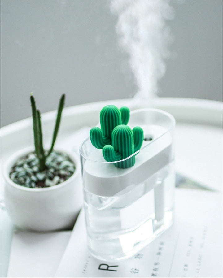 Playful Cactus Aroma Diffuser 3