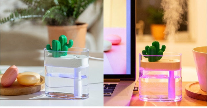 Playful Cactus Aroma Diffuser 7