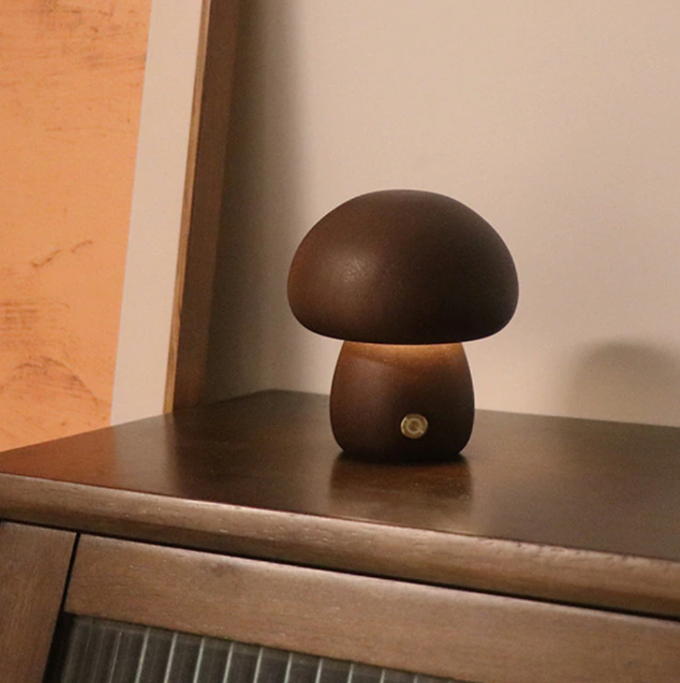 Rustic Cordless Table Lamp 3