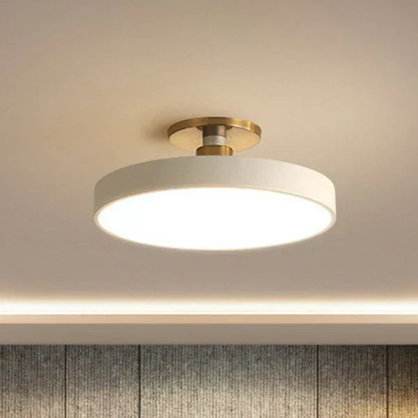 Sleek Flush Mount Ceiling Light 0