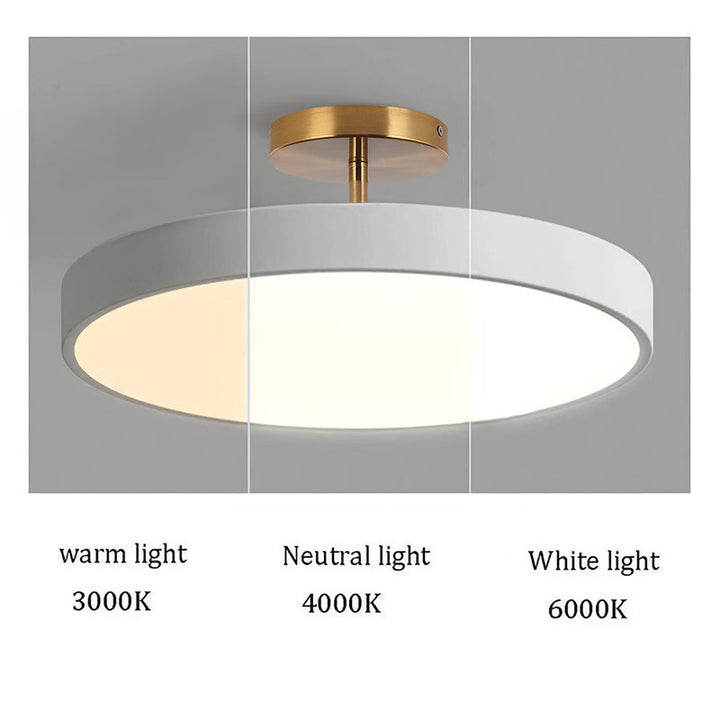 Sleek Flush Mount Ceiling Light 2