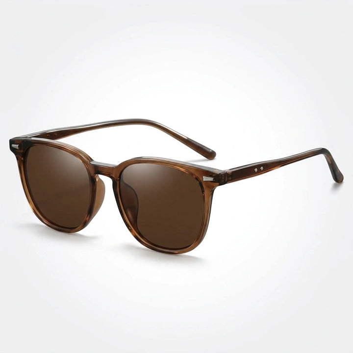 Timeless Olive Tortoiseshell Sunglasses 1