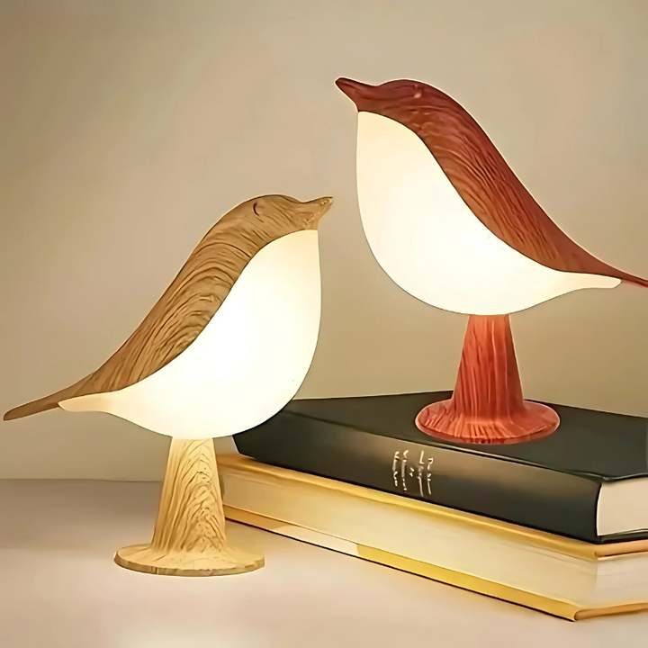 Tranquil LED Mist Lamp 1